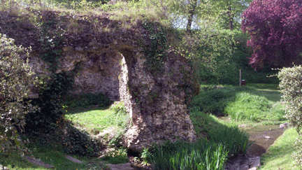 Ruins of Fort du Goulet 